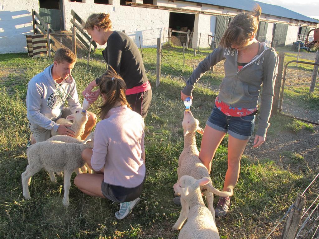 Farm stay Ganora Guest Farm, And Excursions Nieu-Bethesda