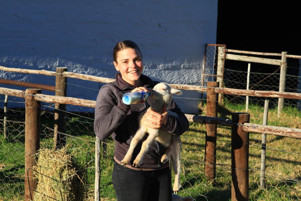 Ganora Guest Farm, And Excursions Nieu-Bethesda