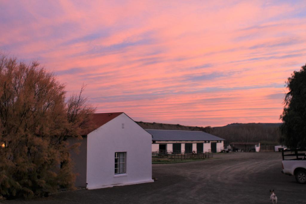 Ganora Guest Farm, And Excursions